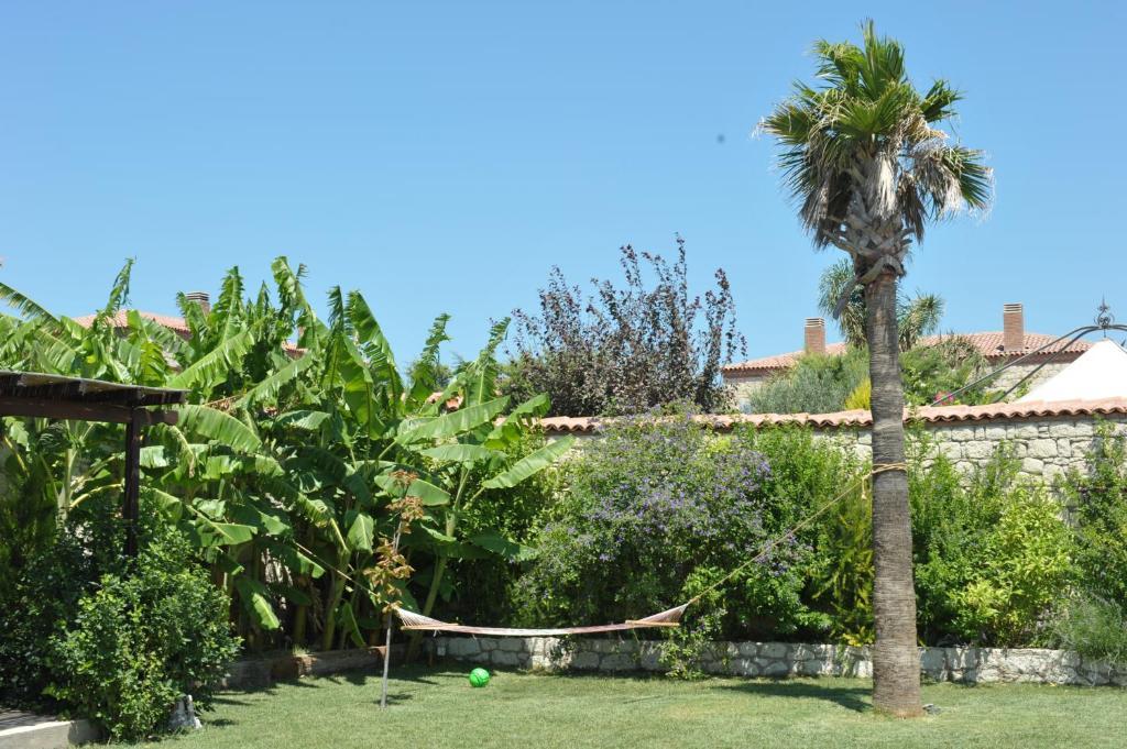 Alacati Koclu Konagi Hotel エクステリア 写真
